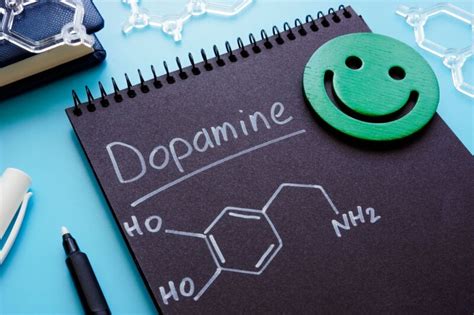 Dopamine Porn Videos 